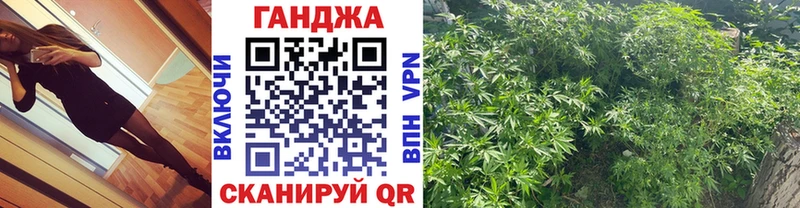 Бошки марихуана Bruce Banner  Стародуб 